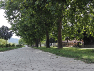 Dunakanyar kerekpárút Nagymaros