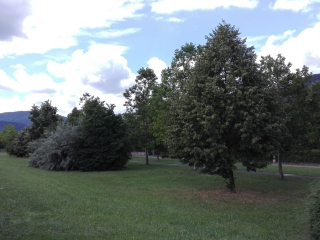 Dunakanyar kerékpárút pihenő