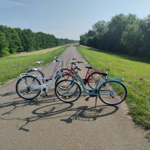Madárpart Pihenő, Kölcsönző és Kemping kerékpárok